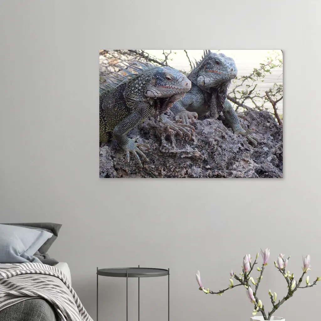 Bedroom-Modern-Grey-5.webp
