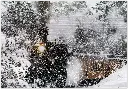 Durango Snow Engine